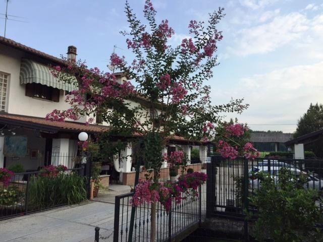 Hotel Locanda Da Carla Vigevano Dış mekan fotoğraf
